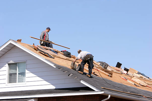 Best Steel Roofing  in Glenmont, MD